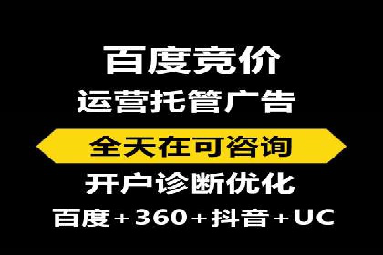 百度竞价排名实战：某电商平台的成功之路